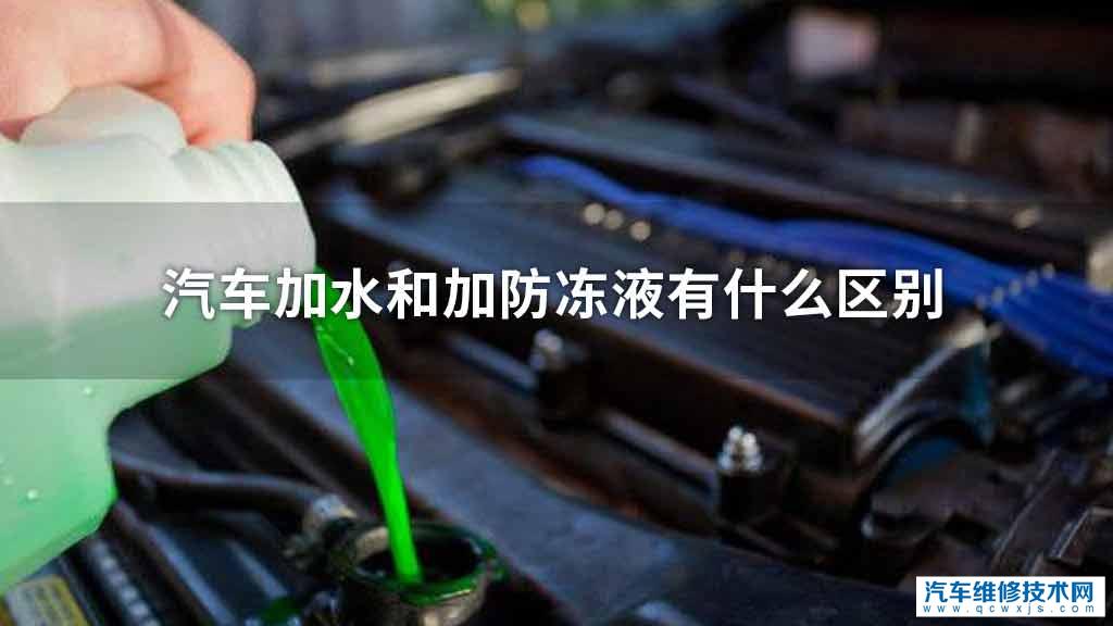 汽车加水和加防冻液的区别是什么