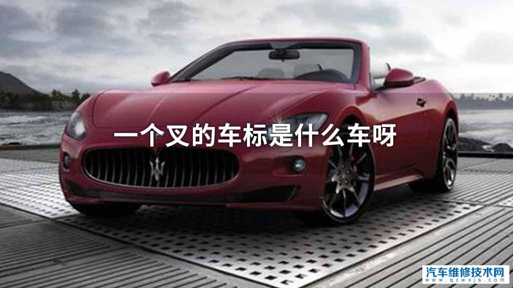 一个叉的车标是什么车呀