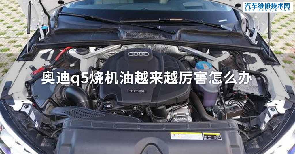 q5机油口位置示意图,q5加机油的位置示意图 奥迪q5烧机油越来越厉害处理方法