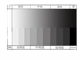 【什么颜色的汽车显大】图2