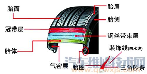 【轮胎的结构示意图（图解）】图2
