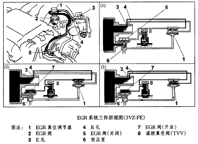 【废气再循环的工作原理  EGR阀控制系统介绍】图1