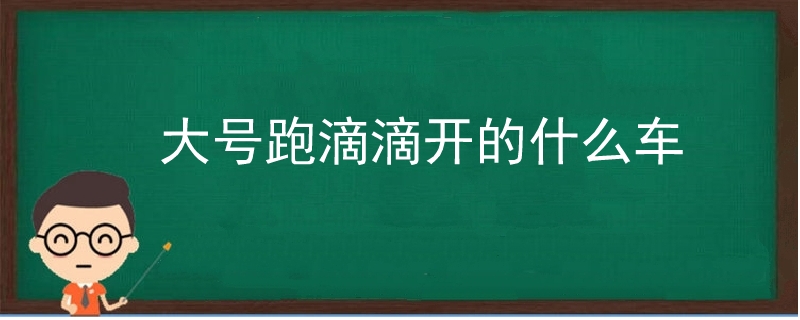 大号跑滴滴开的什么车