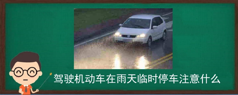 驾驶机动车在雨天临时停车注意什么.jpg