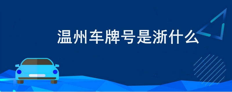 温州车牌号是浙什么