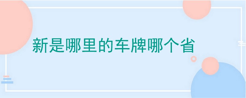 新是哪里的车牌哪个省