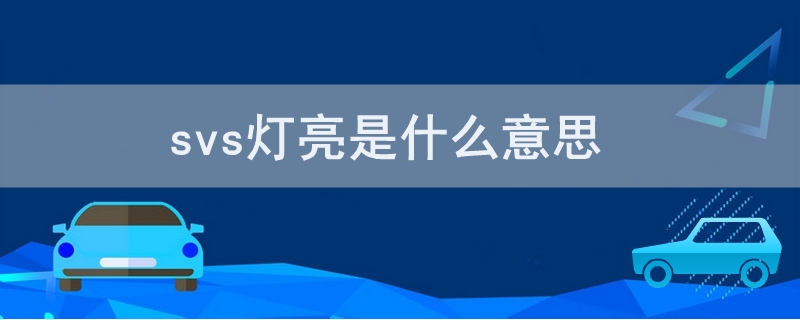 svs灯亮是什么意思